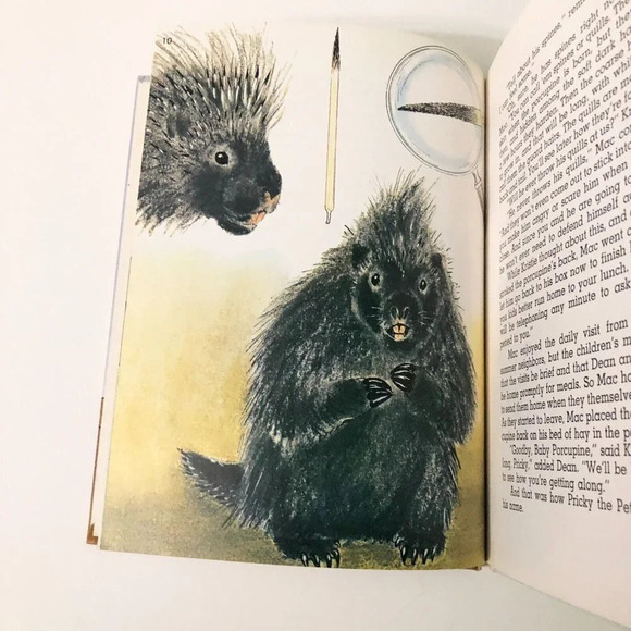 Vtg 1970 Pricky A Pet Porcupine Book Elizabeth Greenleaf Oddo - Picture 12 of 16